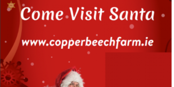 Christmas at Copper Beech Farm