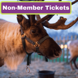 Enchanted Christmas Kingdom 2021 (Non-Members)