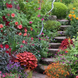 Gardening through the Seasons - with T.J Maher