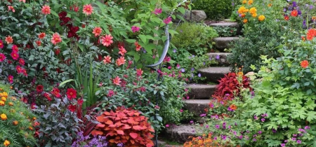 Gardening through the Seasons - with T.J Maher