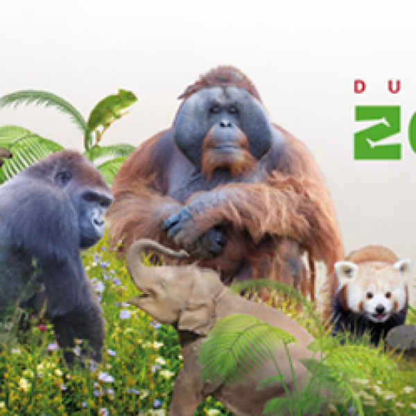 Welcome to Dublin Zootique!