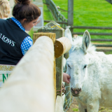 Autumn Term Time 30 Sept-18 Oct 2019