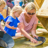 Late Summer Term Time 3 June - 19 July 2019