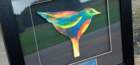 Flock Collectable Bird - Framed