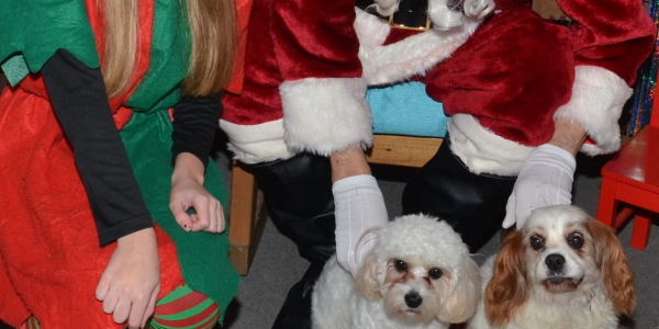 Santa PAWS Grotto Visit