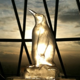 ICE BAR Cambridge