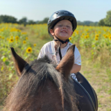 1 Hour Family Pony Experience