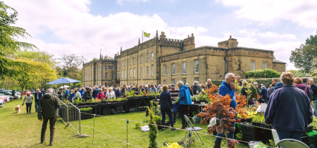 Specialist Plant Fair