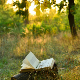 Poetry Competition Workshops