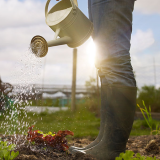 Privilege Club Talk - Growing your own - 25th & 26th March 2020