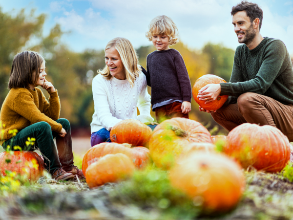 Frosts Pumpkin Patch at Willington