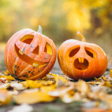 Pumpkin Spooktacular 2021 (23rd Oct-31st Oct)