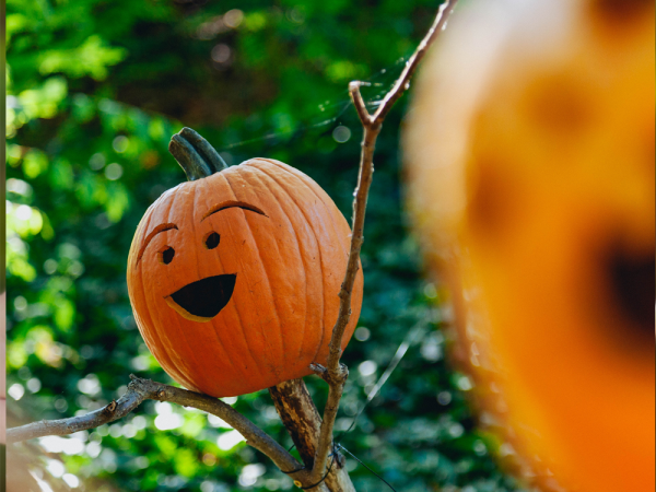 Halloween Pumpkin Carving