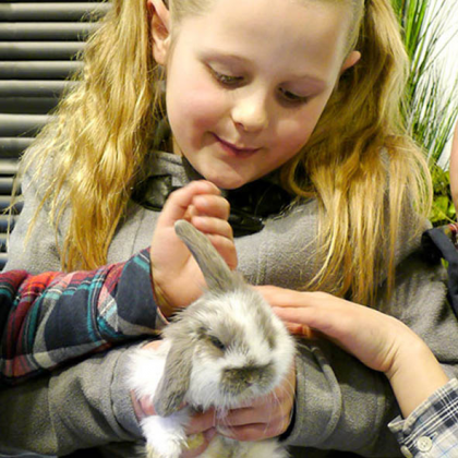 Wychbold Meet Your Perfect Pet