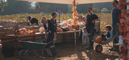 Admission Entrance to The Rogate Pumpkin Patch 2022