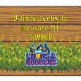 Summer Passes 2019