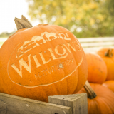 Pumpkin Festival 19 Oct - 3 Nov 2019