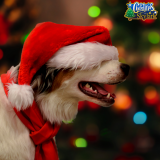 Santa Paws