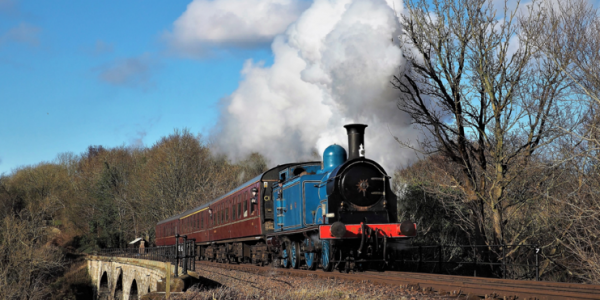 Black Bun Steam Trains