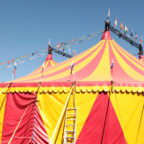 Spring Circus