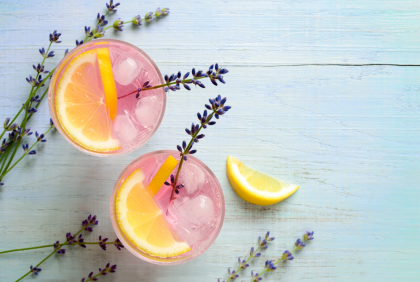 The Gin Garden