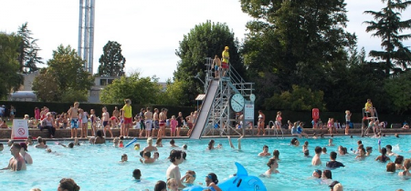 Book a Swim in the Children's Pool