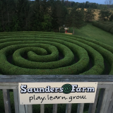2021 Maze Days