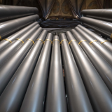 2020 Organ Festival Concerts