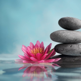 Spa Days at Quad Wellness and Spa