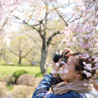 Summer Photography Workshop