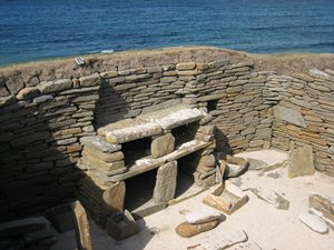 Maxi Day Tour - Tour of the Orkney Islands