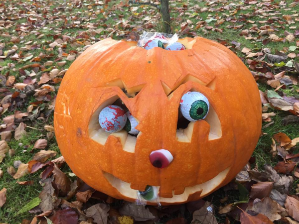 Halloween at the Farm (18th October - 2nd November)