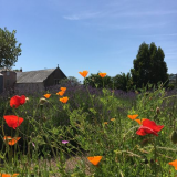 Torre Abbey Advanced booking 22-26th September