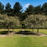 ODL Talk: Who are The Parks Trust? Focus on our Woodland and Plantation Management