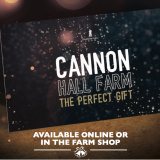 Gift Vouchers