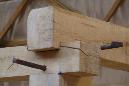 Timber framed buildings: history, construction & repair