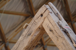 Timber science