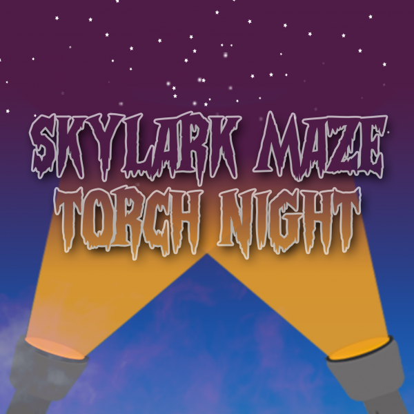 Maze Torch Nights