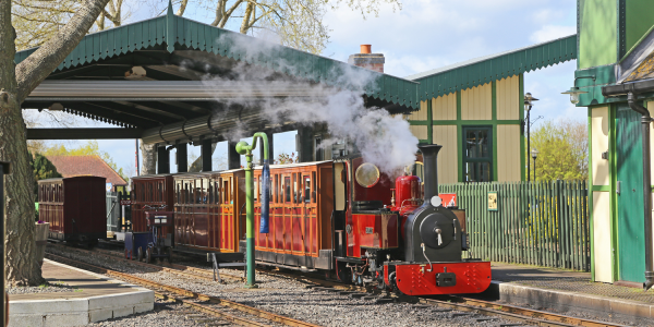 Steam Train Rides