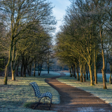 ODL Walk & Talk: Tree ID in Winter