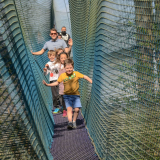 Treetop Trail ONLY