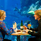 Valentine's Dining