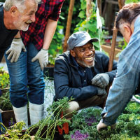 Understanding Your Garden