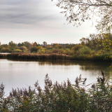 Linford Lakes Nature Reserve New and Renewal Permits