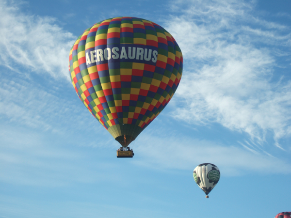 Aerosaurus Balloons