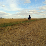 Salisbury Plain Safaris - Horseback Safari