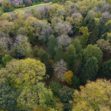 ODL Tree ID in Summer - Great Linford Manor Park