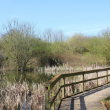 ODL Walk & Talk: Introduction to Elfield Nature Park