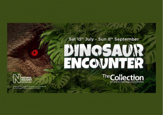Dinosaur Encounter