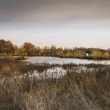 ODL Talk: Woodlands and Wetlands cared for by The Parks Trust
